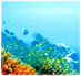 Khao Lak Hotels