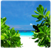 Koh Samed Hotels